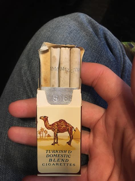 Camel Unfiltered