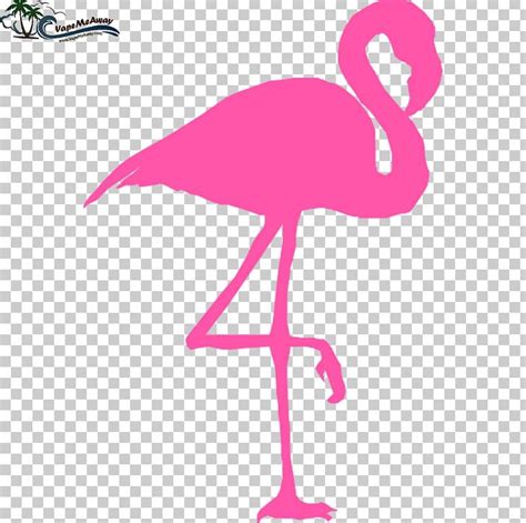 Flamingo Pink Png Clipart Animals Beak Bird Cartoon Clip Art Free