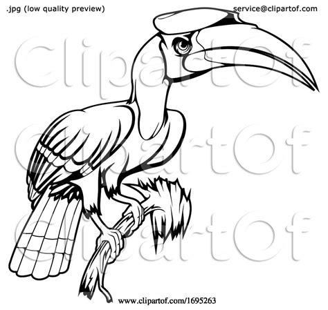 Rhinoceros Hornbill Bird By Vector Tradition Sm 1695263