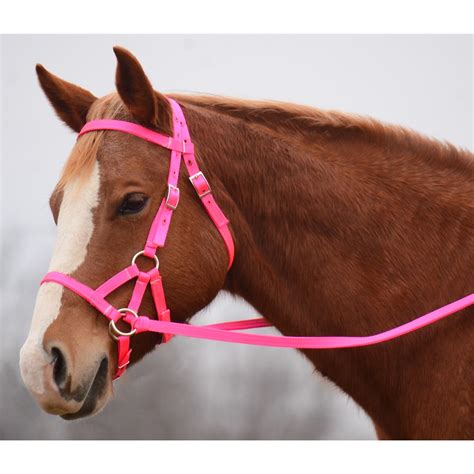 We did not find results for: SIDEPULL Bitless Bridle made from NYLON
