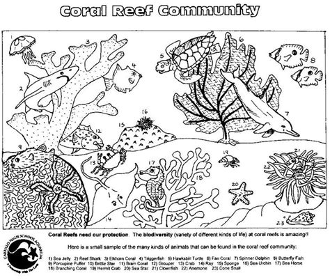 Coloring Pages Ocean Coloring Pages Coral