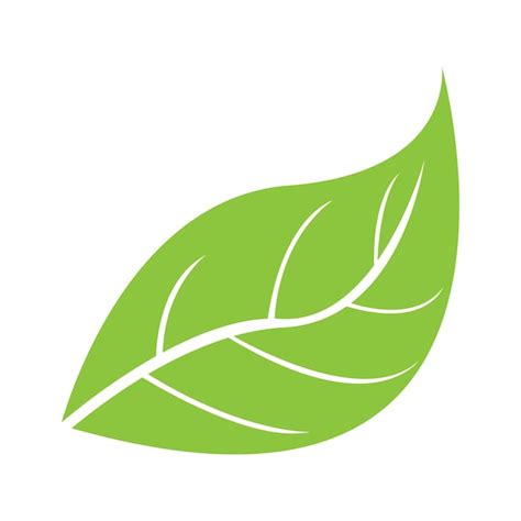 Premium Vector Leaf Logo Vector
