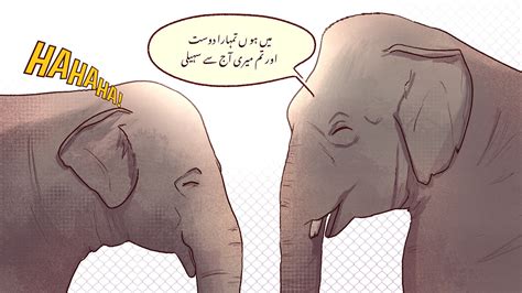 Kaavans Story Bbc Urdu Comic On Behance