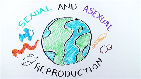 Types Of Reproduction Sexual Versus Asexual Reproduction Ibiology And Youreka Science Youtube