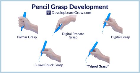 Development Of Pencil Grasp How To Promote A Functional Grasp With 5