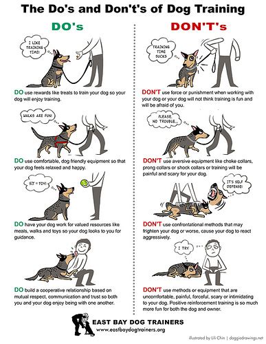 Dog Body Language 79 Signals And Expressions √ How To Communicate With