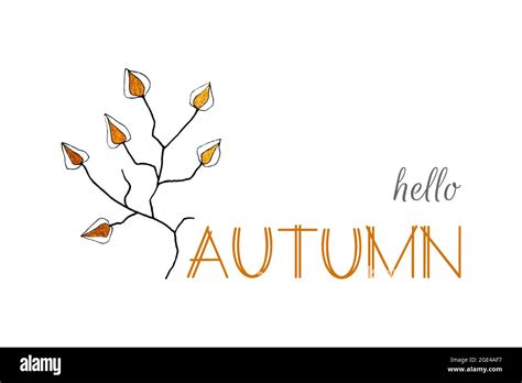 Banner Hello Autumn Lettering With Doodling Physalis Branch Hand