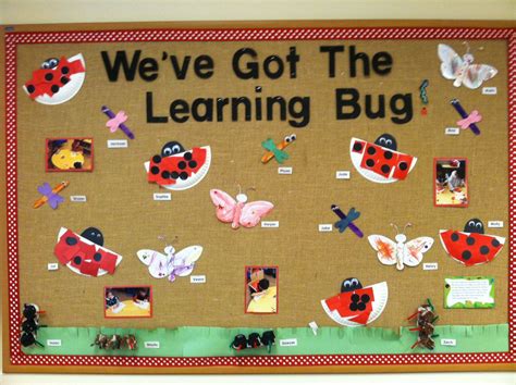 Fantastic Insect Bulletin Board Ideas Basic Shapes Worksheets For