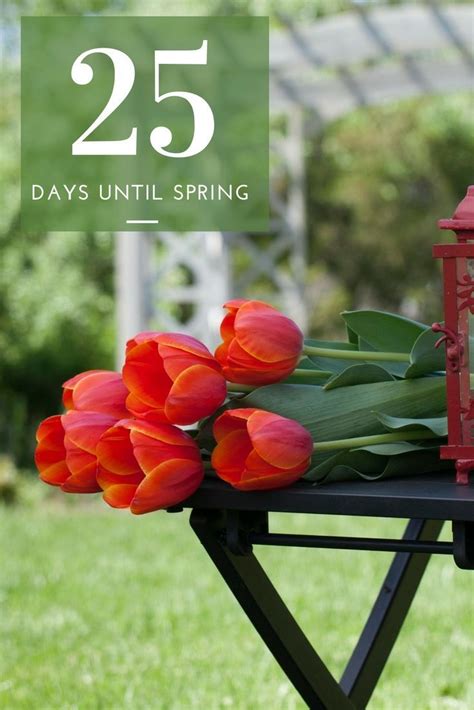 Its been a long stretch from christmas until spring break with only 1 day off between. Only 25 days until Spring! We are counting down the days ...