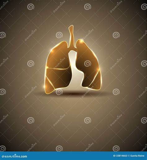 Artistic Lungs Stock Vector Illustration Of Lung Banner 33814663