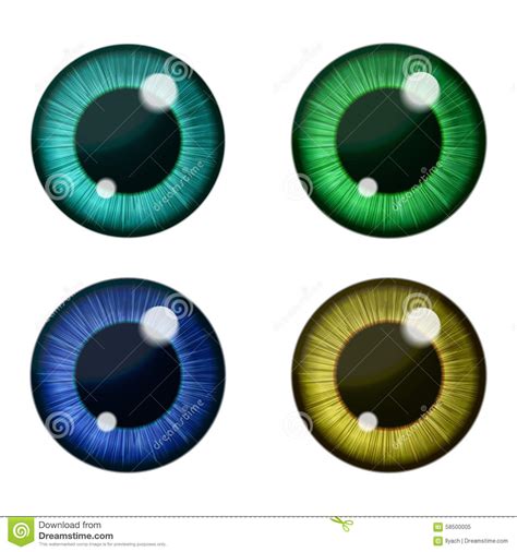 Vector Eyes Collection Human Pupil Stock Vector Image 58500005