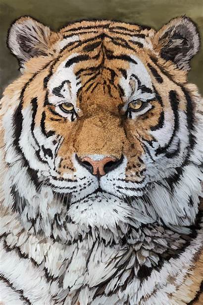 Tiger Siberian Corel