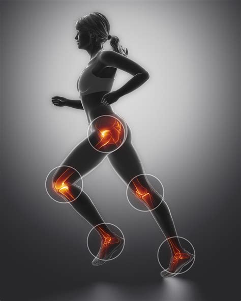 Tips To Keep Your Joints Healthy Every Day Reliablerxpharmacy Blog