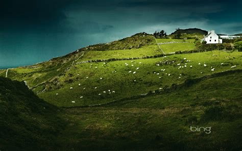 Sheeps Head Ireland Hd Wallpapers