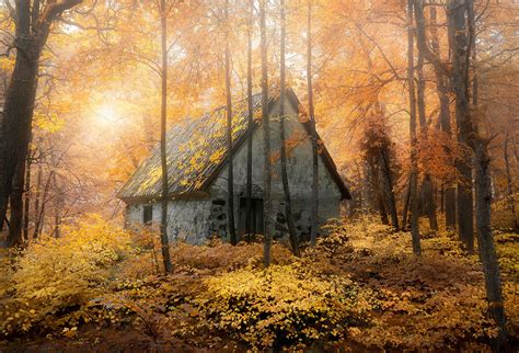 Cottage In The Woods By Christian Lindsten Old Stone Houses Cottage