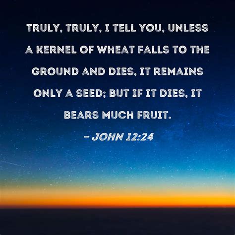 John 1224 Truly Truly I Tell You Unless A Kernel Of Wheat Falls To