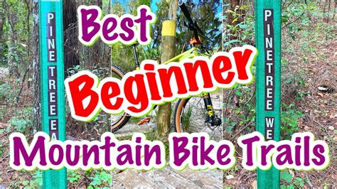 Best Beginner Mountain Bike Trails In Florida Easy Mtb Trails First