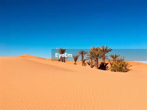 View Of Desert Against Clear Sky Id 145019277