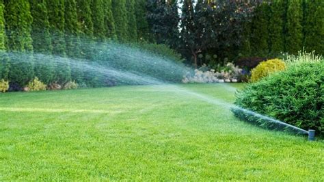 Best Irrigation System For Vegetable Garden 2024 Top 6 Picks