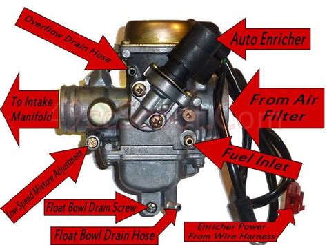 It also had the gas stained filter. Yerf Dog Engine Diagram - Wiring Diagram Schemas