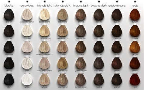 Bremod Hair Color Ash Colors Set With Bremod Peroxide Top