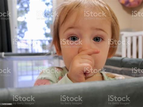 Photo Libre De Droit De Petite Fille Aux Yeux Bleus Suçant Son Pouce