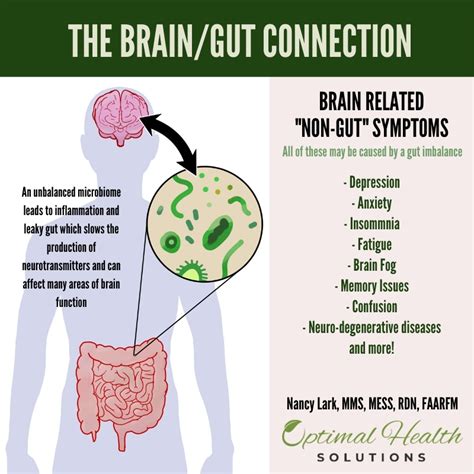 The Mind Gut Connection Lifestyle Medicine And Wellness Optimal