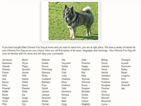 Unique Puppy Names √ Dogica Mythology Chinese Greek Japanese Mutt