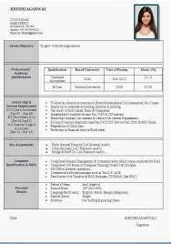 Cv format for freshers in word. Indian Resume Format Download In Ms Word - BEST RESUME ...