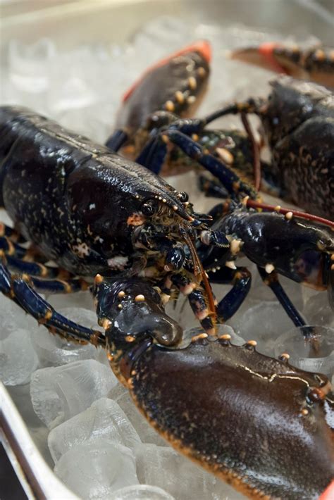 Cook time, under 10 minutes! How to Prepare Lobster Claws With Gary Jones - Great ...