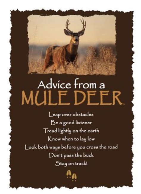 Mule Deer Advice To Live By Good Listener Best Friend Quotes