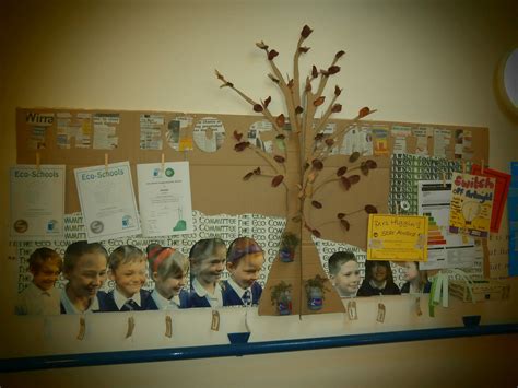 Our Eco Council Diplay Board Complete With Living Herbs School