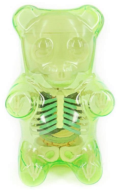 Gummi bear anatomy puzzle toy - green Gummi Bear A... | Trampt Library