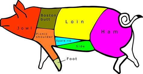 Learn Where Your Pork Comes From A Pork Chart Pork Pork Sirloin