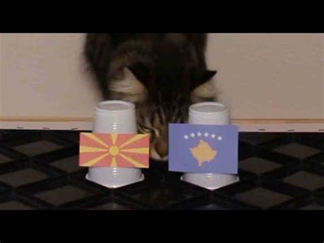 Macedonia football | euro 2020? North Macedonia Vs Kosovo - Cats Euro 2020 Play-Offs Prediction - YouTube