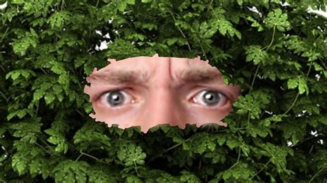 Hiding In The Bush Gmod Guess Who Funny Moments Youtube