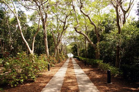 Fairchild Tropical Botanical Gardens Miami Visions Of