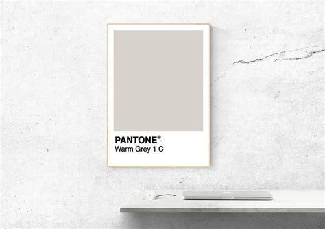 Warm Grey 1 C Pantone Digital Print Pantone Poster Etsy Neutral