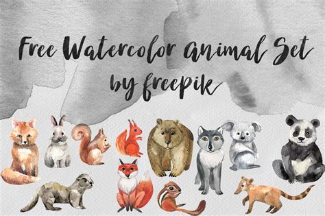 DLOLLEYS HELP: Free Watercolor Animal Set