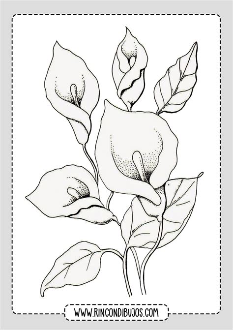 Dibujos De Flores Para Imprimir Y Colorear Rincon Dibujos