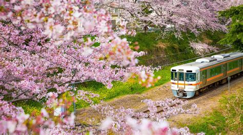 How To Use Your Japan Rail Pass Wanderlust Crew