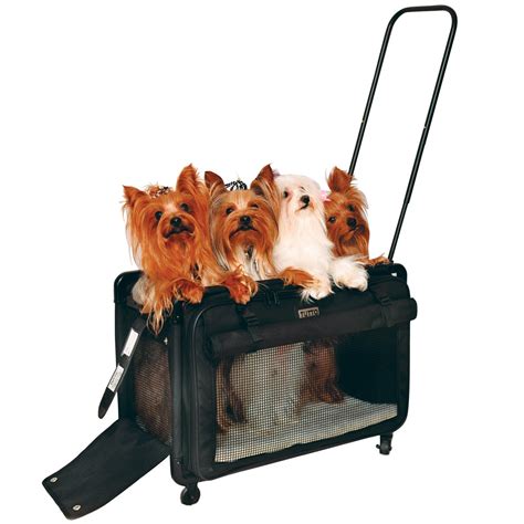 The first thing that you but what it amounts to is once you have it properly installed on the pet, on the dog in particular, this. Tutto Black Large Pet On Wheels | My Wholesome Pet
