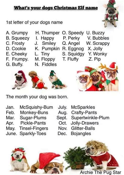 Whats Your Dogs X Mas Elf Name Christmas Elf Names Christmas