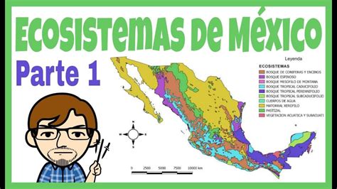 Ecosistemas En México 1 Youtube