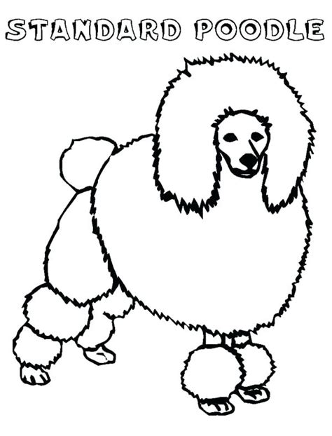 This dog has been known all over the world for its beauty and intelligence without any other breed that usually matches it. Toy Poodle Coloring Pages at GetColorings.com | Free ...