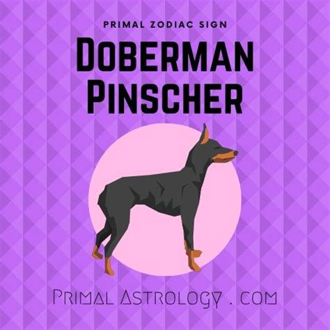 Primal Astrology Spirit Of The Doberman Pinscher