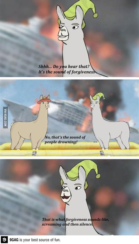The Sound Of Forgiveness Funny Funny Llamas With Hats Lamas With Hats