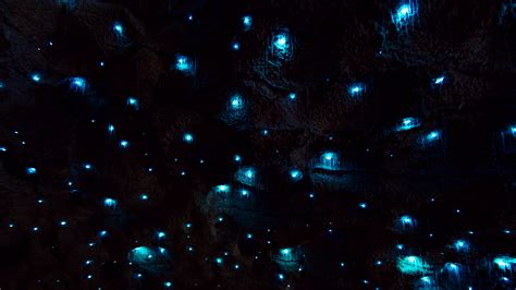 Glow Worm Cave Hd Wallpapers
