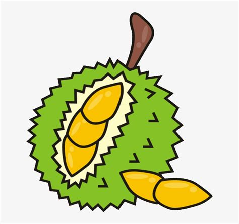 10 Durian Fruit Royalty Free Clipart Durian Clipart Free