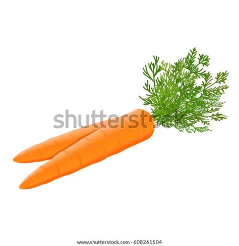 Fresh Carrots Heap Green Stems Isolated Stock Vector Royalty Free